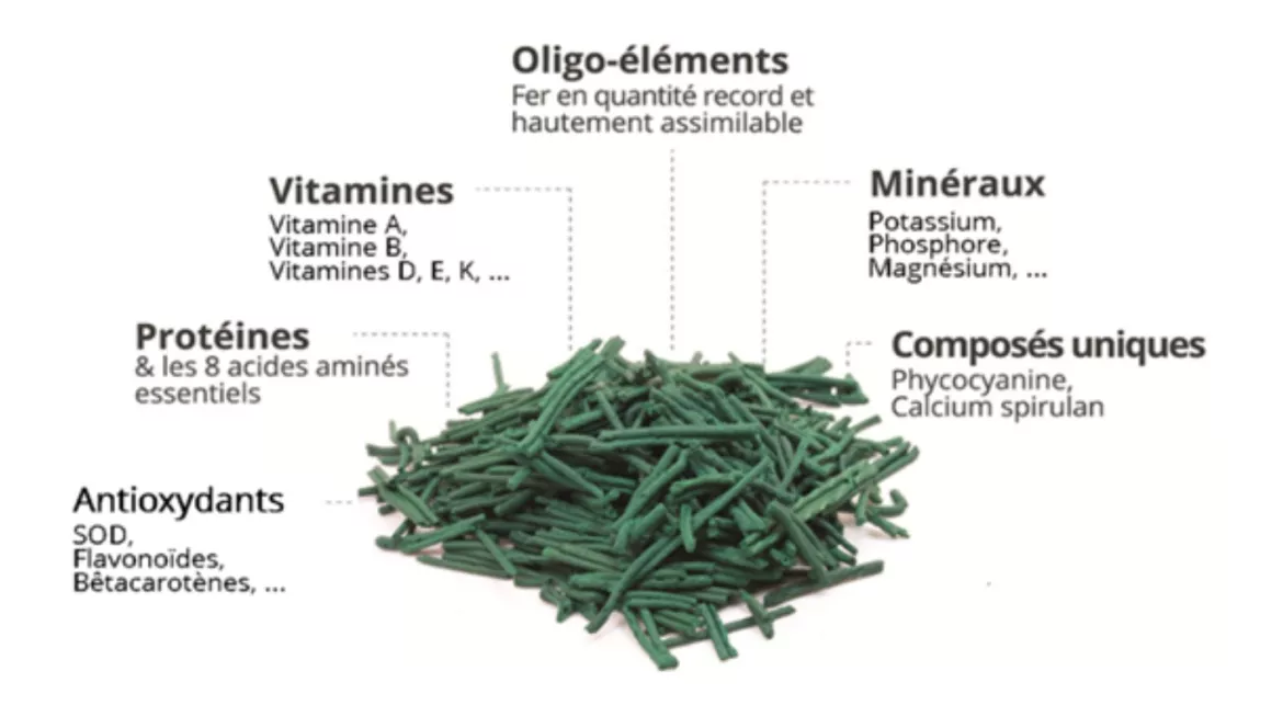 Reminéraliser son organisme avant une détox : Pourquoi et comment la spiruline peut vous aider ?